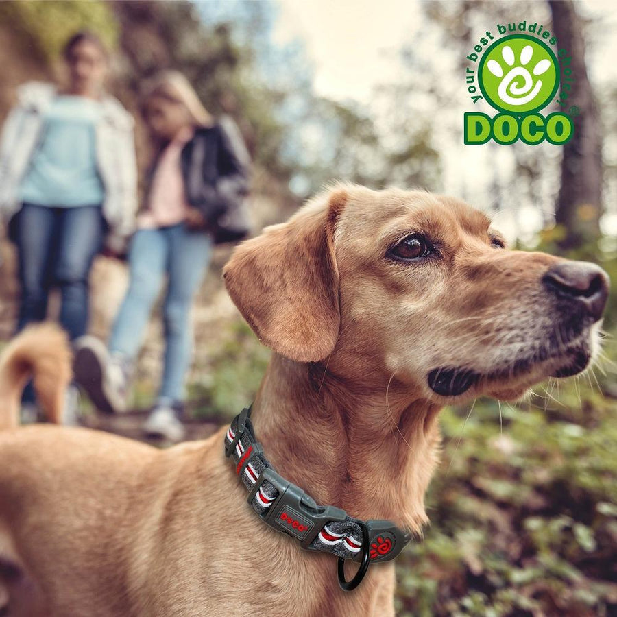 DOCO® Lunar Mesh Dog Collar